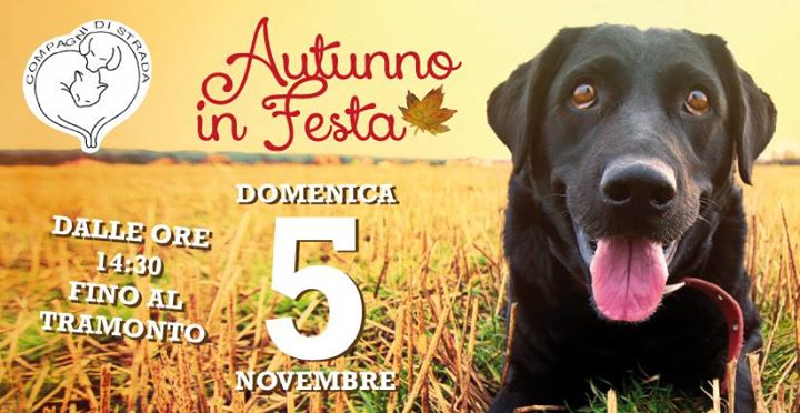 Autunno-in-festa-desenzano